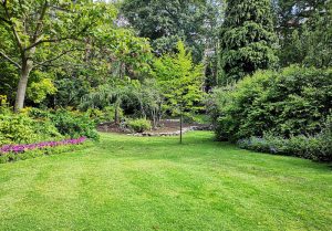 Optimiser l'expérience du jardin à Clere-du-Bois